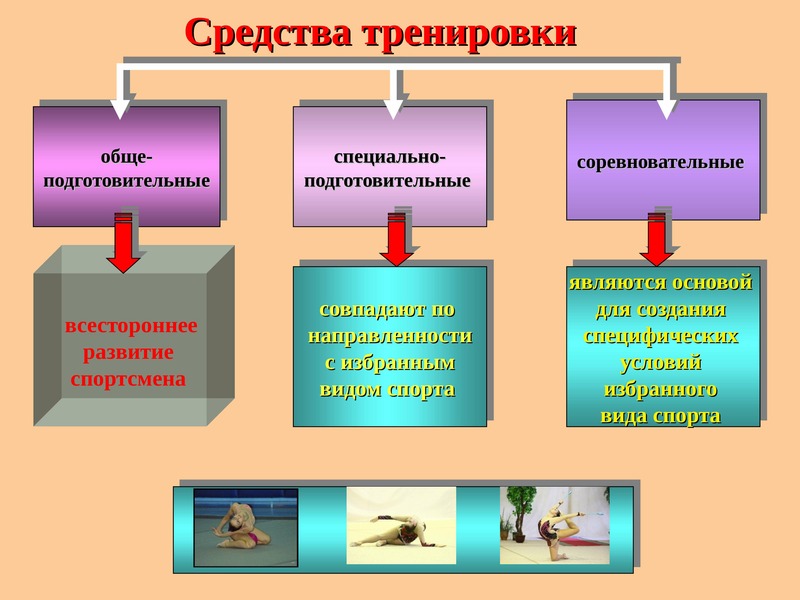 Основы спортивной тренировки презентация