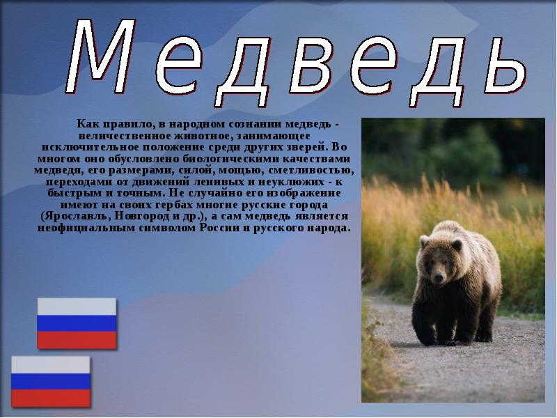 Неофициальный символ россии медведь. Медведь символ России. Национальные символы России медведь. Животные символы России. Зверь символ России.