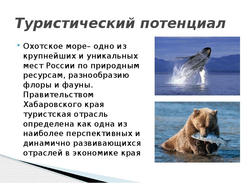 План описания моря охотское море