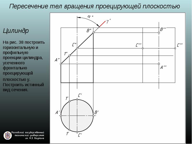 Цилиндр пересечен плоскостью