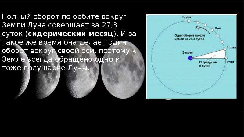 Во сколько раз отличаются сутки на земле от суток на весте