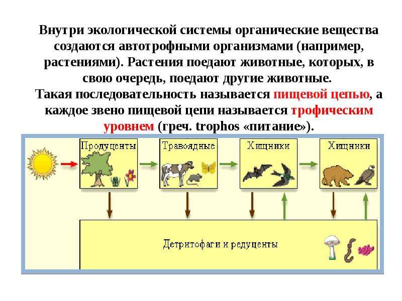 Схема передачи веществ