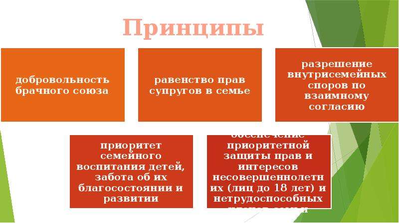 Добровольность брачного союза означает. Равенство прав супругов в семье пример.