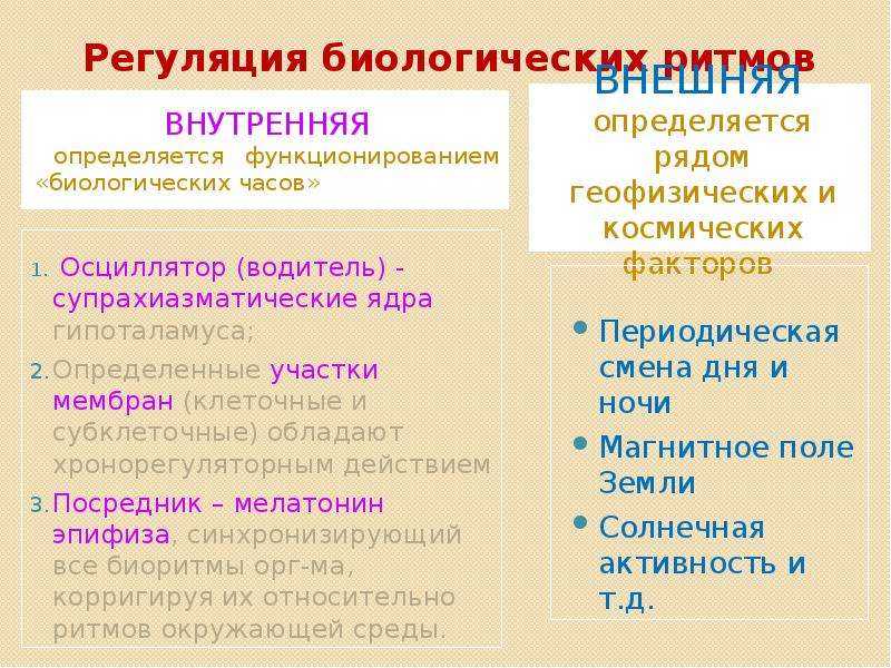 Внутренняя регуляция