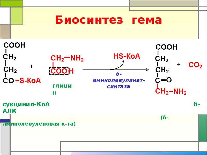 Биосинтез это