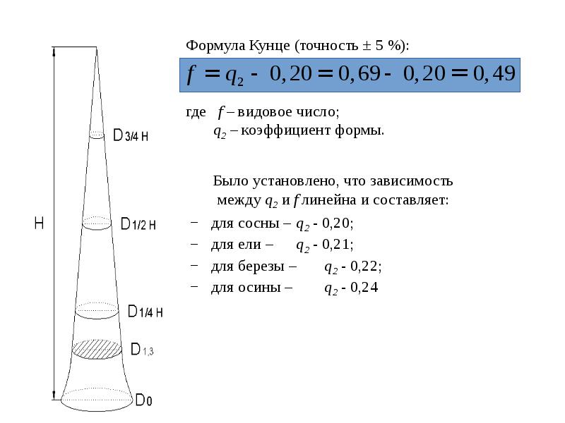 Объем ели. Таблица Ткаченко видовые числа стволов. Коэффициент формы ствола. Видовое число ствола. Коэффициент формы дерева.