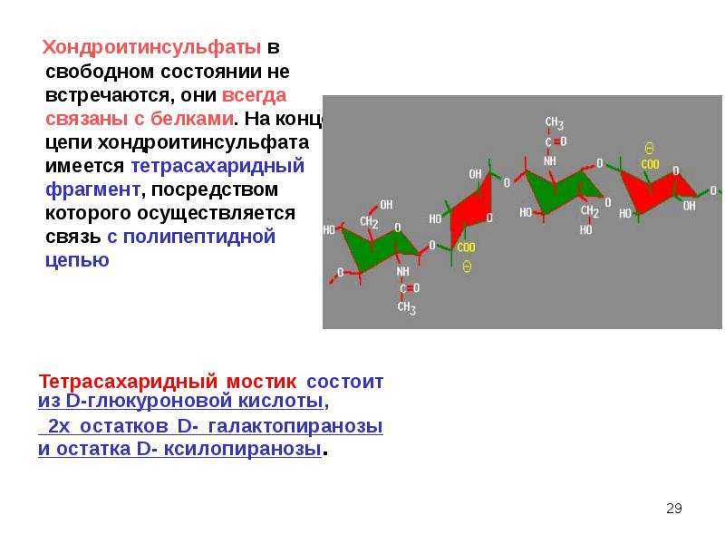 В свободном состоянии. Цепи хондроитинсульфата. Хондроитинсульфаты связь с белком. Хондроитинсульфат связь с белком. Хондроитинсульфат содержание белка.