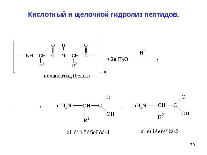 Какие вещества образуются при гидролизе белков. Трипептид щелочной гидролиз. Кислотный и щелочной гидролиз дипептидов. Щелочной гидролиз дипептида реакция. Кислотный гидролиз пептидов реакция.