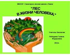 Лес в жизни человека