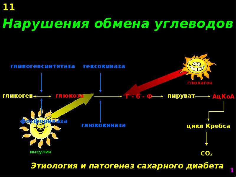 Нарушения углеводов. Нарушение углеводного обмена симптомы. Заболевания обмена углеводов. Для нарушения углеводного обмена характерна. Формы нарушения углеводного обмена.