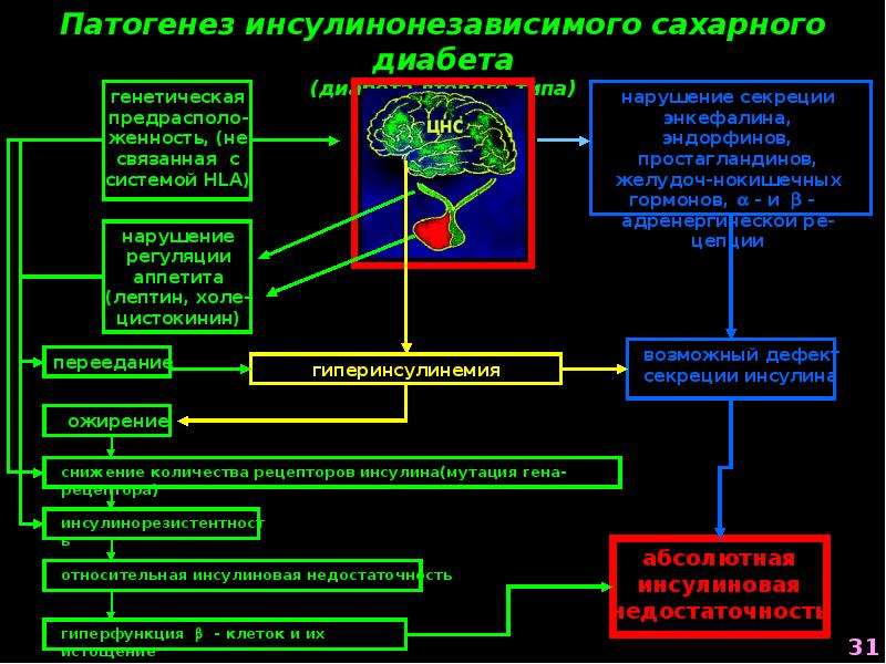 Патогенез сахарного диабета. Патогенез сахарного диабета 1 типа биохимия. Патогенез сахарного диабета 1 и 2 типа схема. Механизм развития сахарного диабета 2 типа. Патогенез сахарного диабета сахарного.