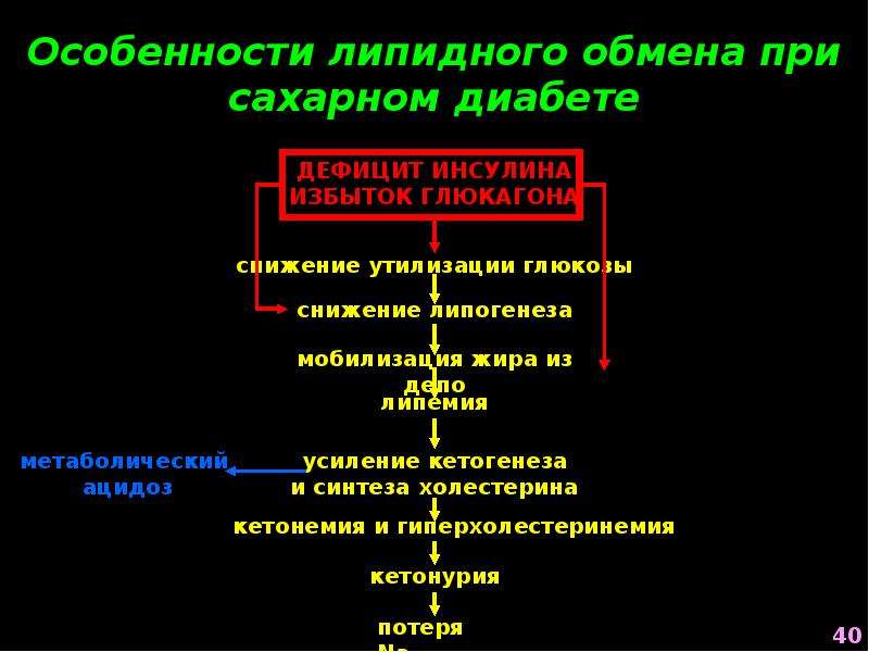 Сахарный обмен. Патофизиология эндокринной системы. Особенности липидного обмена. Механизмы нарушения липидного обмена. Патогенез нарушения углеводного обмена.