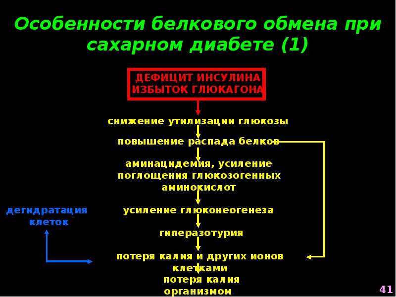 Нарушения обмена белкового липидного. Механизмы нарушения жирового и белкового обменов при СД. Нарушение белкового обмена при сахарном диабете. Проявления нарушений белкового обмена при сахарном диабете. Нарушение белкового обмена при СД.