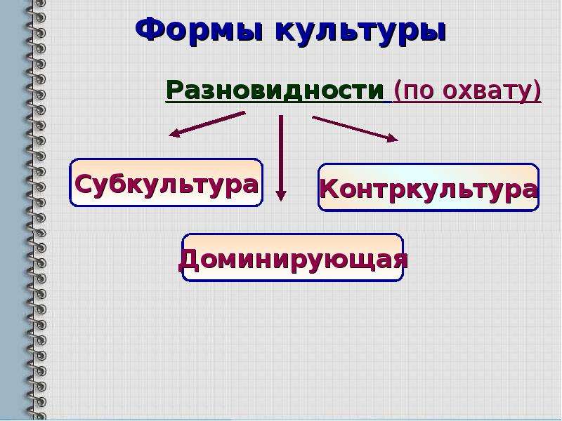 Две формы культуры. Формы культуры презентация. Культурный образец. Формы и функции культуры. Универсальные формы культуры.