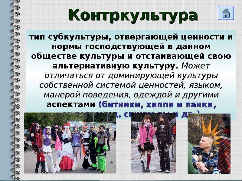 Контркультура обществознание. Функции культуры в культурологии. Формы культуры Контркультура. Формы культуры доминирующая субкультура Контркультура. Субкультурная форма культуры.