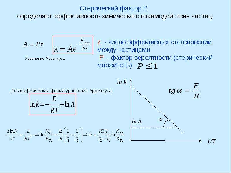 Проект скорость реакции человека