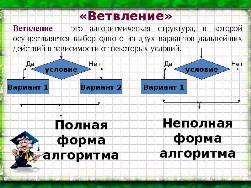 Конструкция ветвление презентация. Неполная форма ветвления алгоритма. Разветвляющийся алгоритм с неполным ветвлением. Неполная форма ветвления Информатика. Неполное ветвление Информатика.