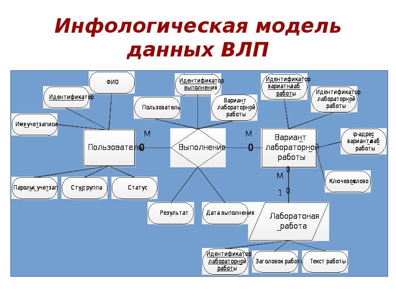 Сущности концептуальной модели данных