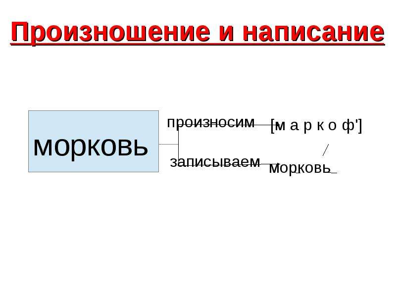 Словосочетание со словом морковь