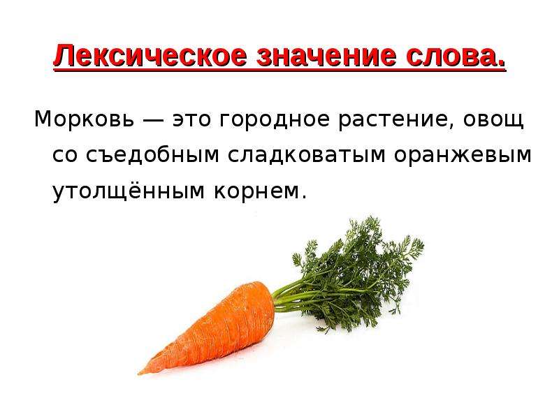 Лексическое значение слова лайфхаки. Лексическое значение слова морковь. Лексическоезначенин слова морковь. Морковь словарное слово. Морковка со смыслом..