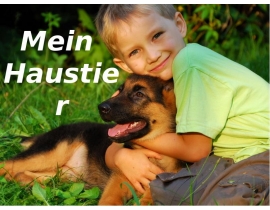 Mein Haustier