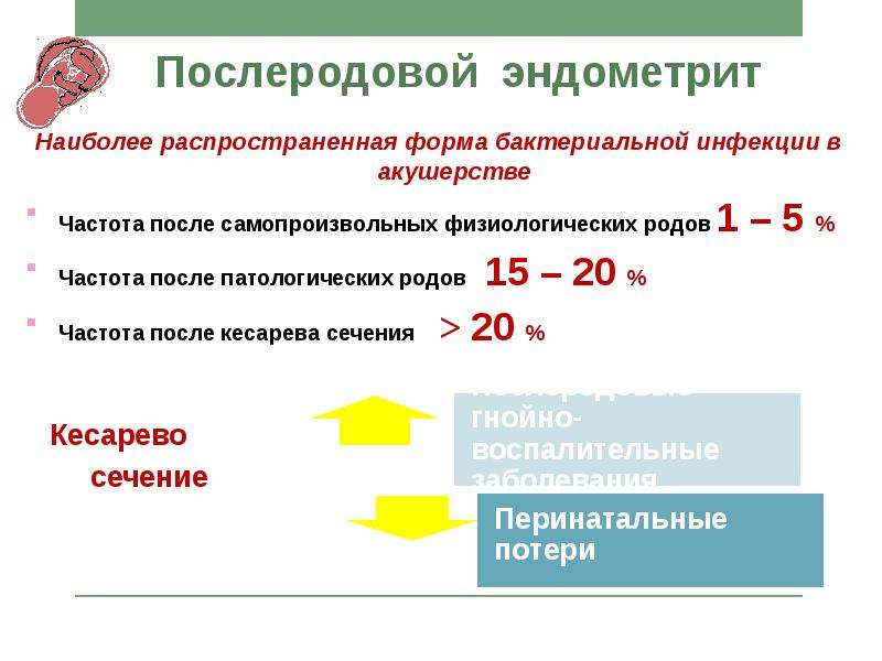 Послеродовый эндометрит презентация