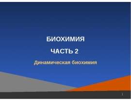 Обмен углеводов, белков, липидов. (Лекция 4)
