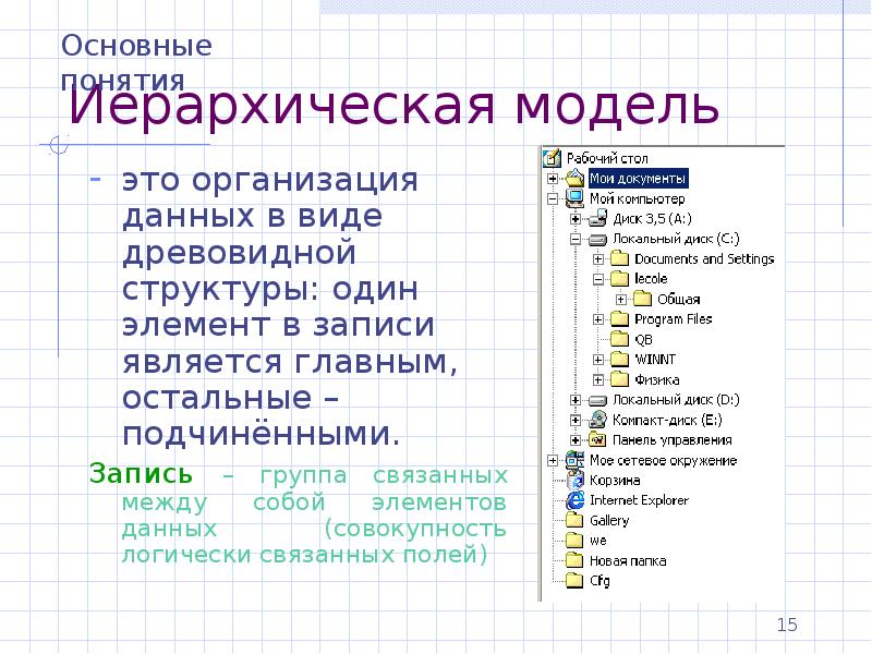 Укажите истинные высказывания с помощью субд. Древовидная структура папок. Древовидное представление данных. Древовидная структура Информатика. Организация данных в виде древовидной структуры.