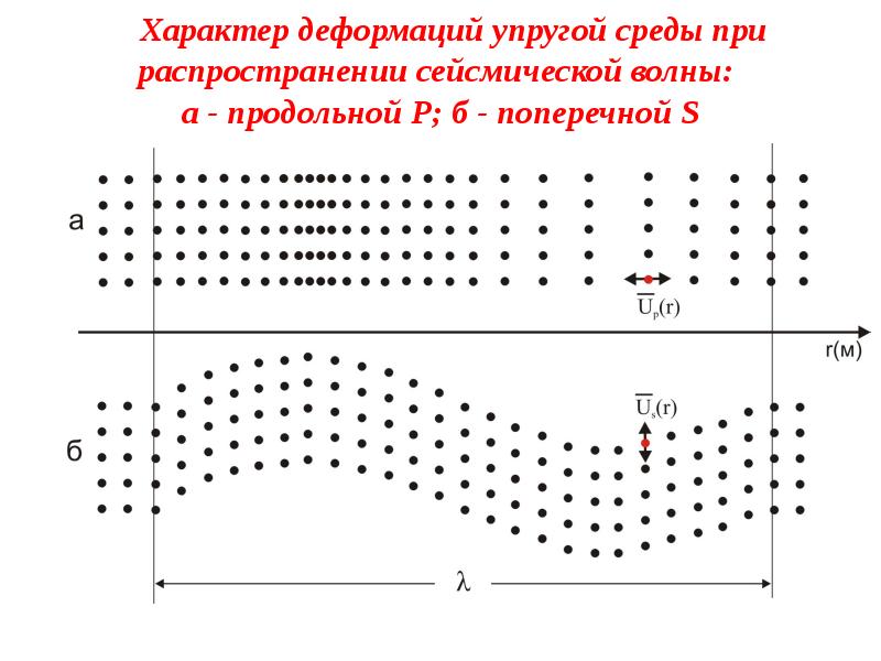 Характер деформаций упругой среды при распространении сейсмической волны: а - продольной Р; б - попе