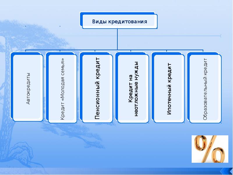 Программное обеспечение проведения банковских платежей презентация