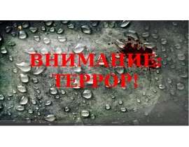 Внимание: террор!