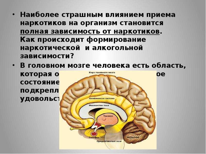 Организм становится. Влияние алкоголя и других наркотиков на вестибулярный аппарат. Воздействие никотина на кору головного мозга. Стали организм. Влияние никотиновых солей на человека.