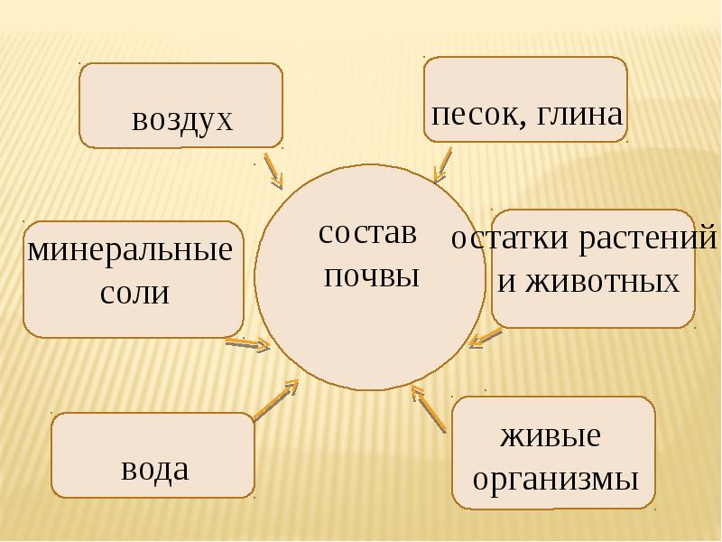 Что такое почва 3 класс проект