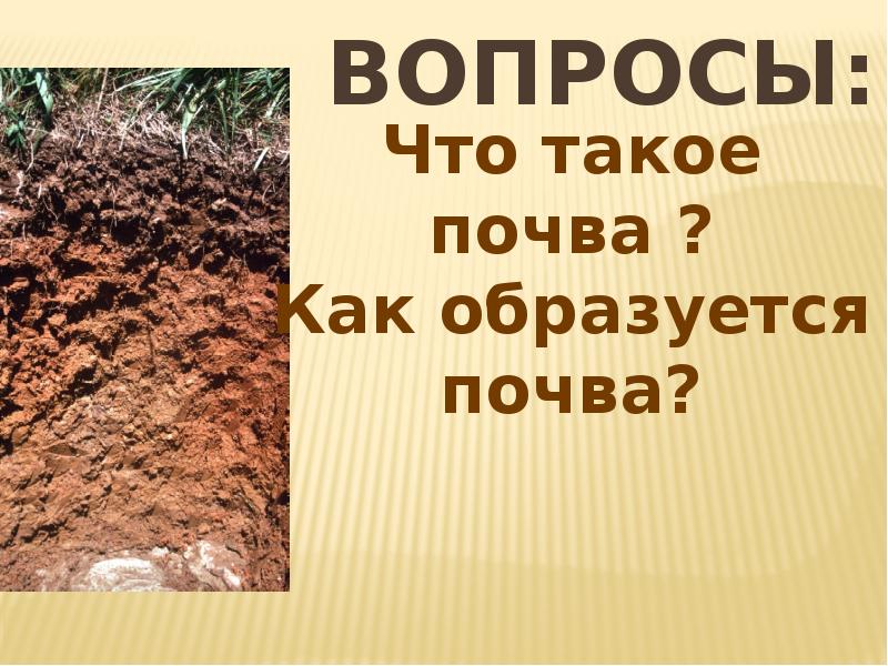 Проект про почвы