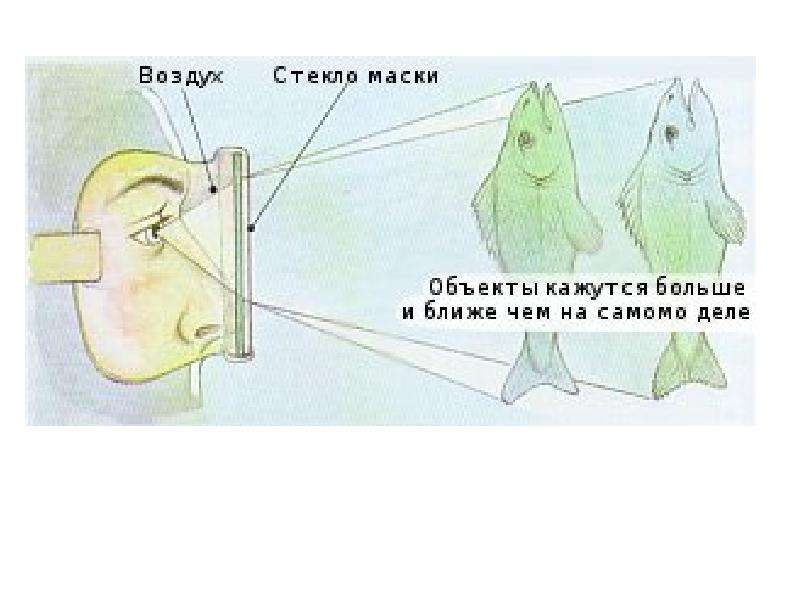 Почему изображения предметов получаемые при отражении их в воде кажутся менее яркими чем сами