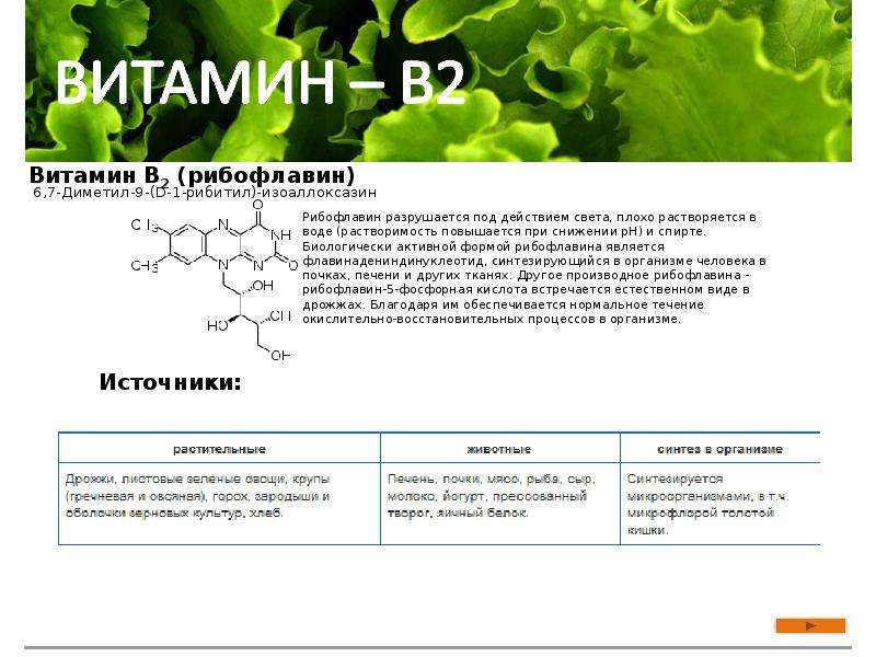 Какой витамин синтезируется микрофлорой. Участие витаминов в метаболизме. Витамин б1 роль в обмене веществ. Роль в обмене веществ витамина в2. Роль в обмене веществ витамина в1.