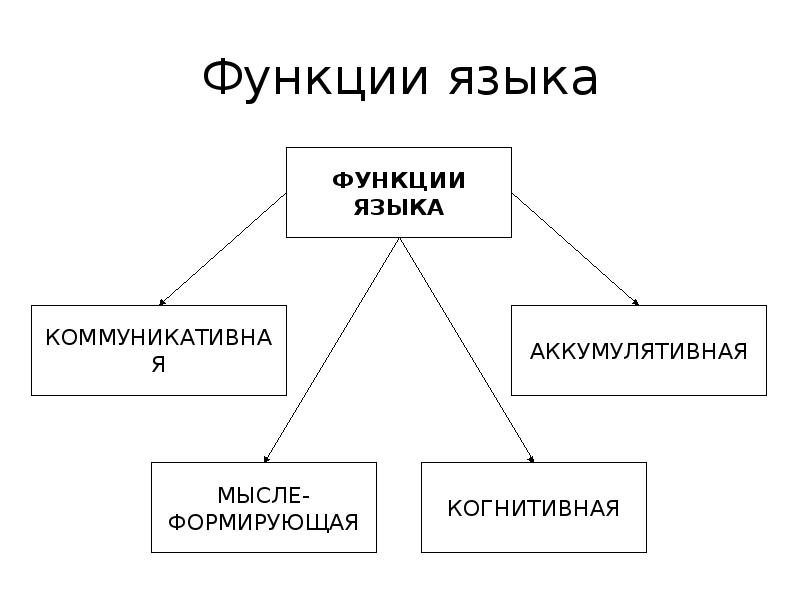 Функции Языка Картинки