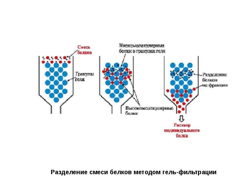 Метод гель фильтрации