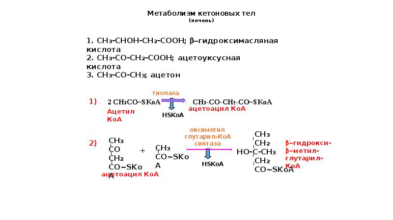 В моче белок кетоновые тела. Схема окисления кетоновых тел. Окисление кетоновых тел происходит в. Образование кетоновых тел в печени. Синтез кетоновых тел в печени.