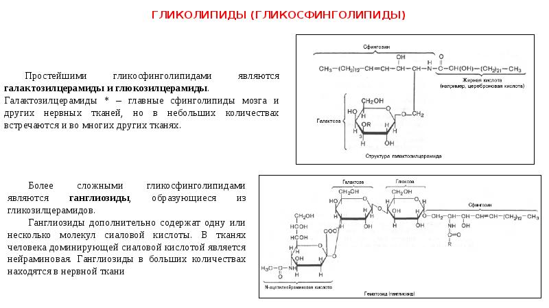 Отношение липидов к воде