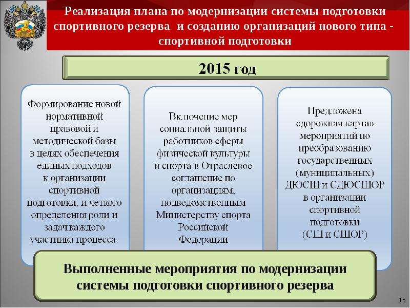 Проведение модернизации. Система подготовки спортивного резерва. Организации нового типа. План осуществления спортивной подготовки организациями. План по модернизации.