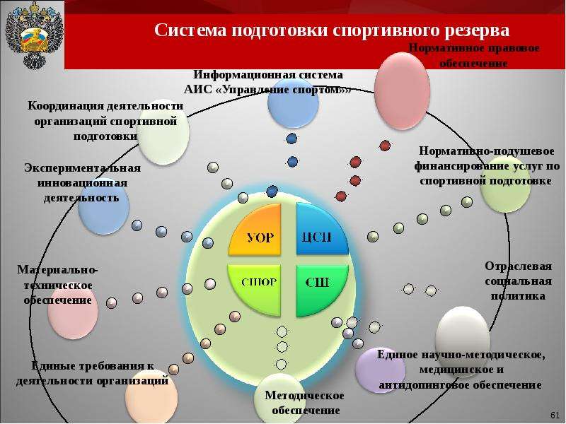 Система подготовки. Подготовка спортивного резерва. Система подготовки спортивного резерва. Структура подготовки спортивного резерва. Система спортивной подготовки это.