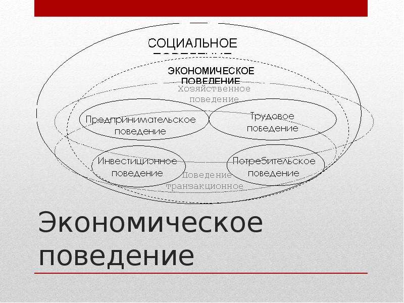 Проект по социологии