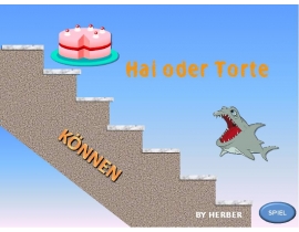 Hai oder Torte
