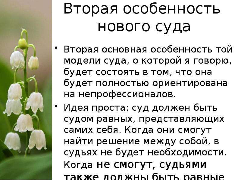 Особенности вторых