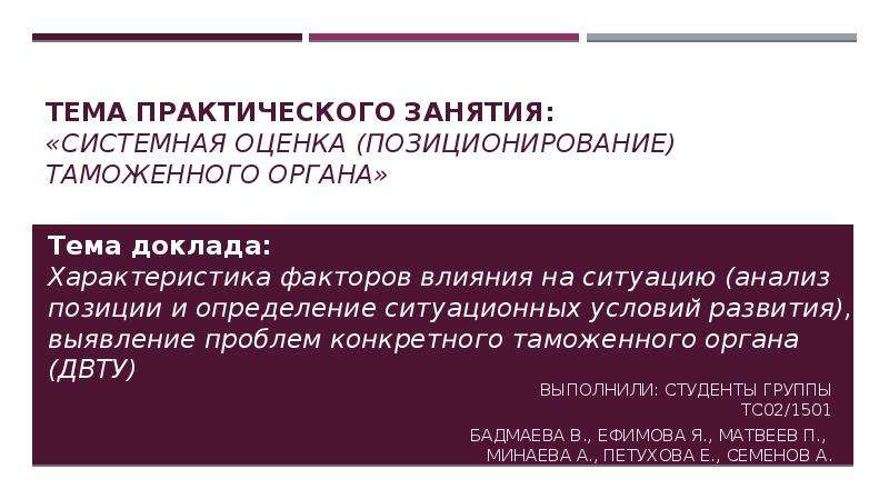 Задача позиционирования таможенных систем презентация