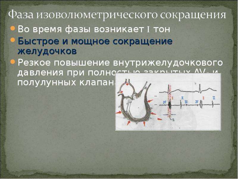 Сокращение желудочков. Фазы сокращения желудочков. Фаза изоволюмического сокращения желудочков. Внутрисердечная гемодинамика в фазах сердечного цикла.