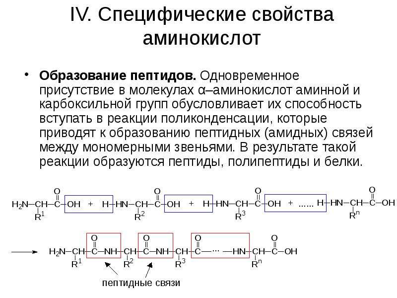 Запишите используя общую формулу аминокислот схему реакции поликонденсации аминокислот в полипептид