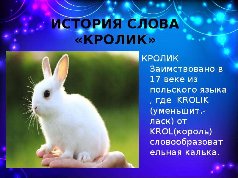 Перевод текста rabbit