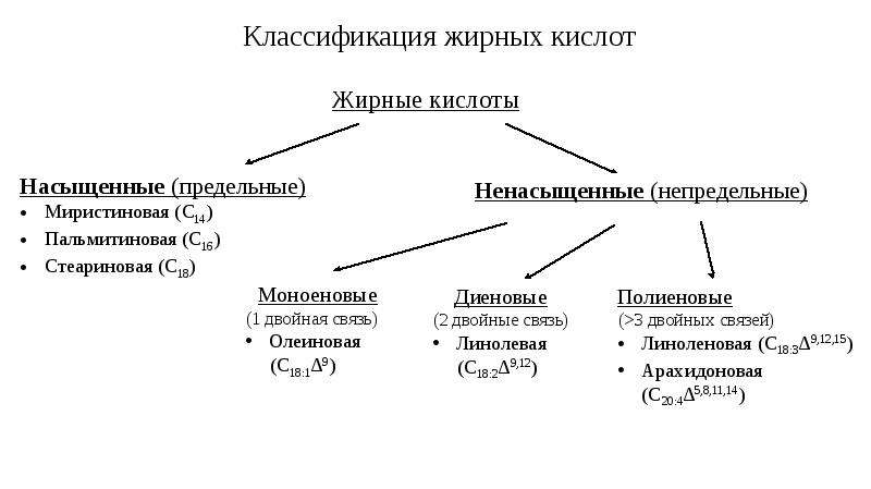 Липиды выполняют функции